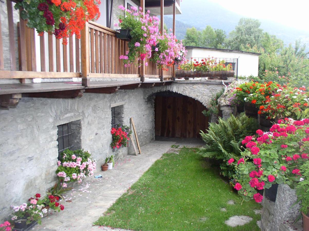 B&B Lo Van - Camere Al Verde Villaggio Di Rumiod 圣皮埃尔 外观 照片